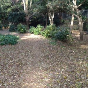 【写真24枚】代々木公園クロカンコースを解説！