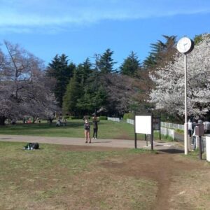 【写真15枚】砧公園クロカンコースを詳しく解説！
