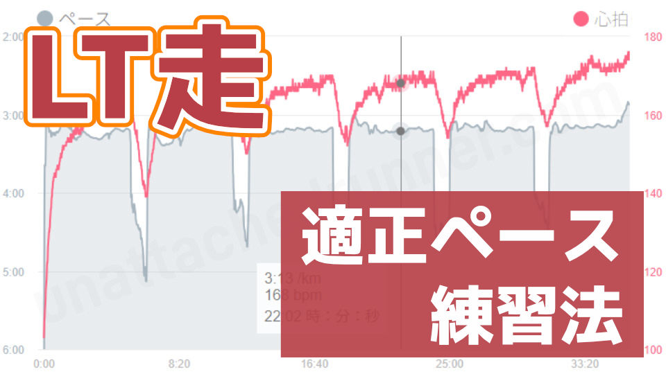 LT走とは？目的、適正ペース(PB別)、練習法を紹介