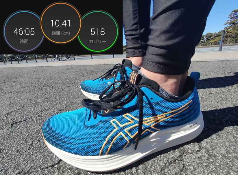 定番大特価 asics アシックス EvoRide SPEED エヴォライドスピード