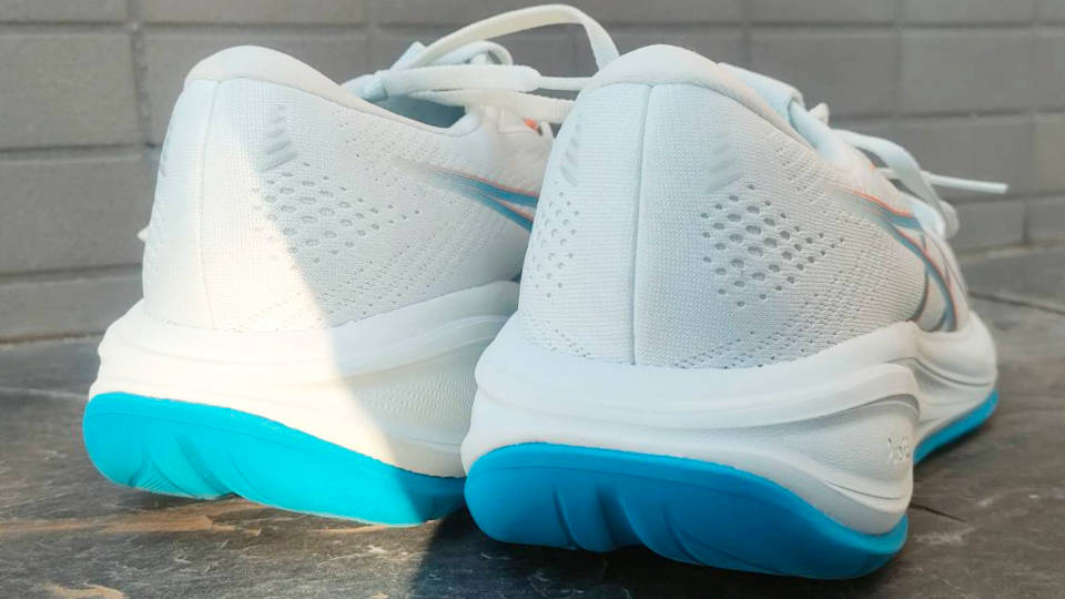 ゲルキュムラス28 後足部の広さ