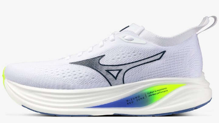 ミズノネオゼン2