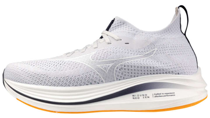 ミズノネオゼン1